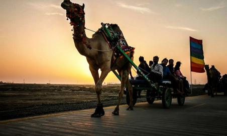 Kutch Tour Packages