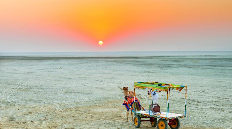 Image result for rann of kutch
