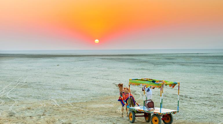 Great Rann Of Kutch Essential Travel Guide - Rann Utsva 2019, 2020